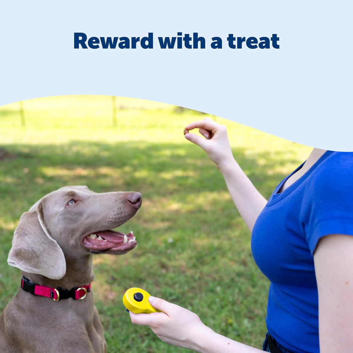 Clik-R Dog Training Clicker, Blue