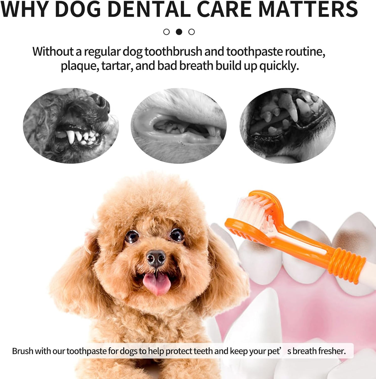 Dog & Cat Toothpaste Kit with Toothbrush & Finger Brush, Vanilla, 100g