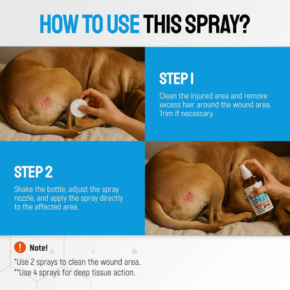 Dog Wound Spray Helps with Hot Spots, Irritations, Bites, Burns, Rashes, Itch, Scratching – Better Use with a Dog Cone to Stop Licking – Safe for Large and Small Breeds – 4 oz