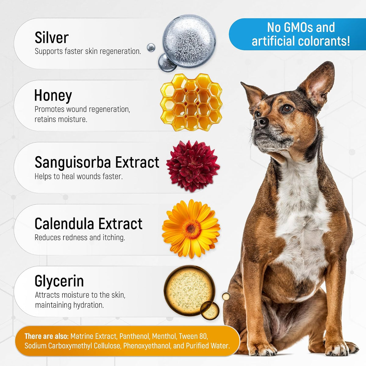 Dog Wound Spray Helps with Hot Spots, Irritations, Bites, Burns, Rashes, Itch, Scratching – Better Use with a Dog Cone to Stop Licking – Safe for Large and Small Breeds – 4 oz