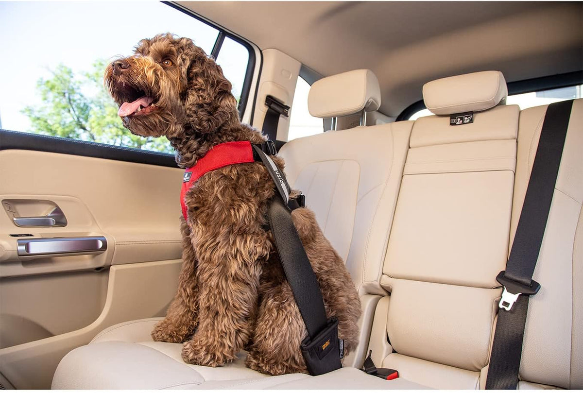 Clickit Sport Plus - Crash-Tested and Safety Certified Car Seat Belt Harness for Dogs (Small, Robin Egg Blue)
