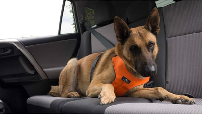 Clickit Sport Plus - Crash-Tested and Safety Certified Car Seat Belt Harness for Dogs (Small, Robin Egg Blue)