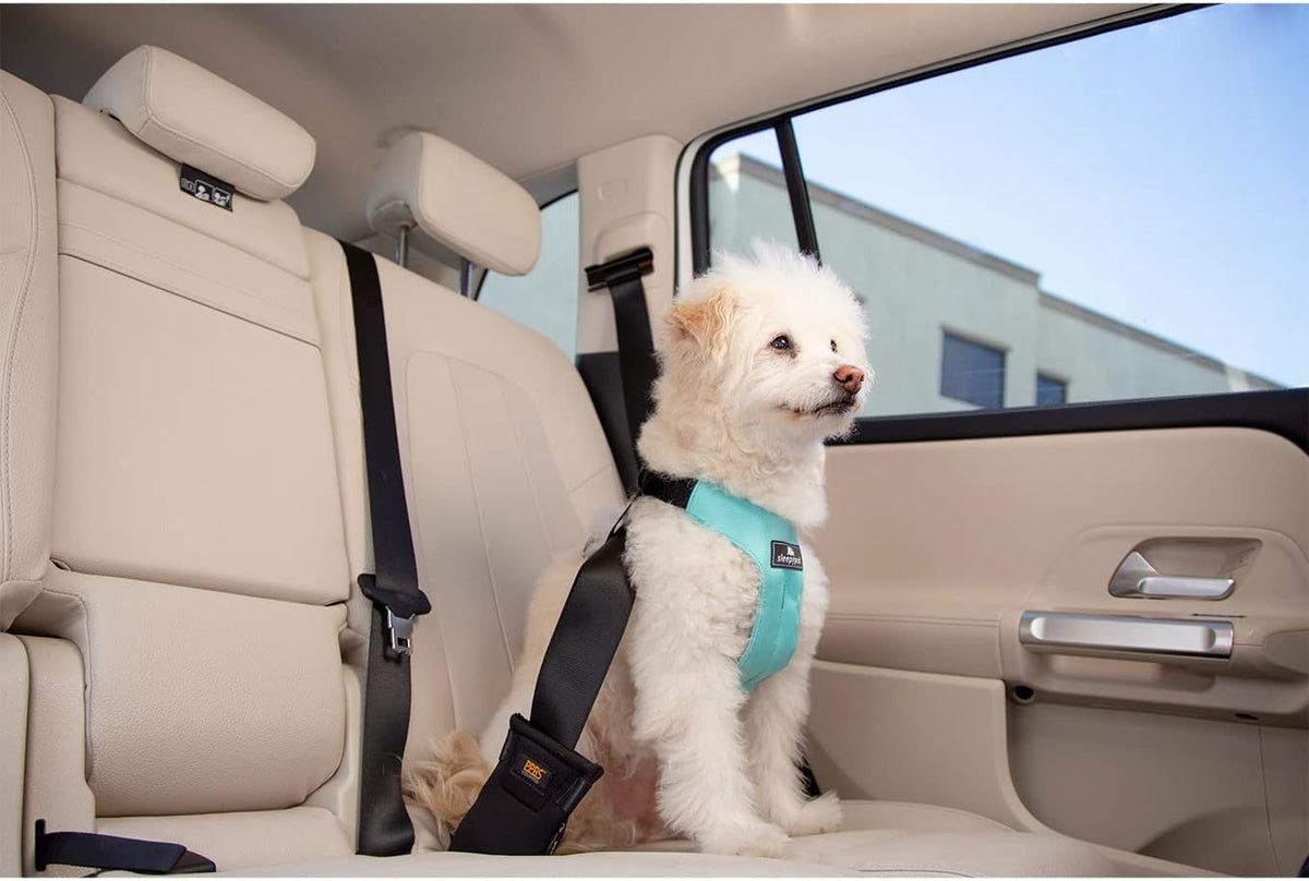 Clickit Sport Plus - Crash-Tested and Safety Certified Car Seat Belt Harness for Dogs (Small, Robin Egg Blue)