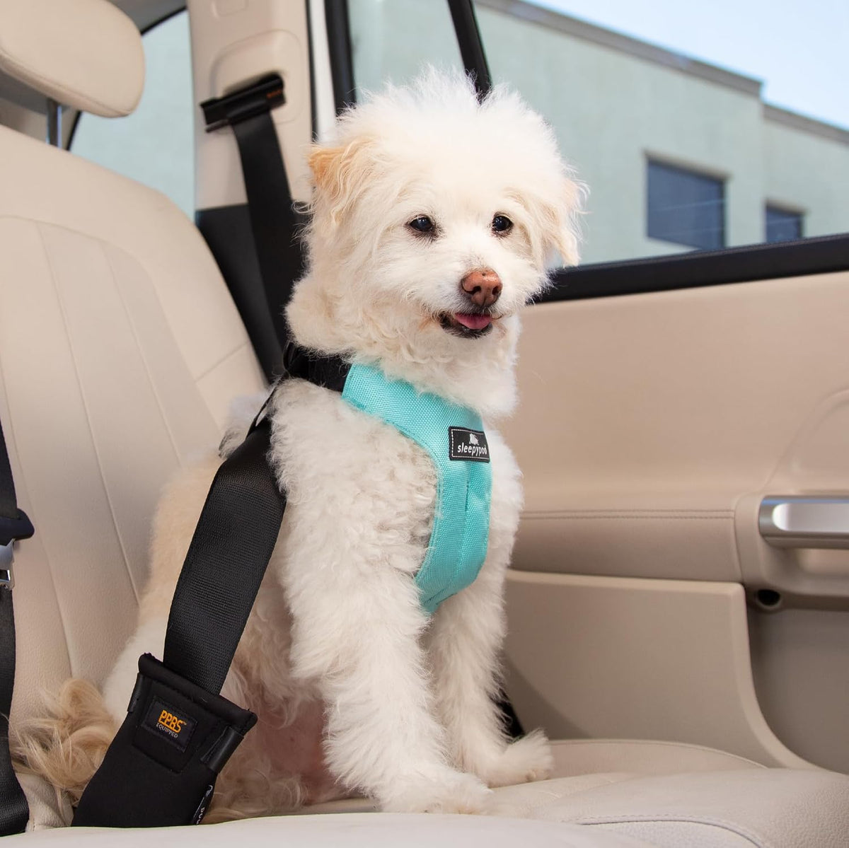 Clickit Sport Plus - Crash-Tested and Safety Certified Car Seat Belt Harness for Dogs (Small, Robin Egg Blue)