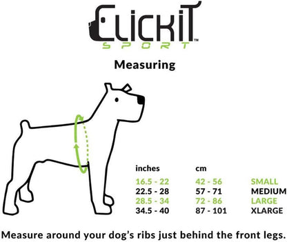 Clickit Sport Plus - Crash-Tested and Safety Certified Car Seat Belt Harness for Dogs (Small, Robin Egg Blue)