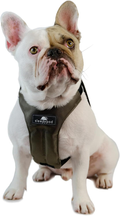 Clickit Sport Plus - Crash-Tested and Safety Certified Car Seat Belt Harness for Dogs (Small, Robin Egg Blue)