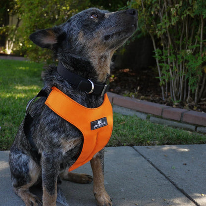 Clickit Sport Plus - Crash-Tested and Safety Certified Car Seat Belt Harness for Dogs (Small, Robin Egg Blue)