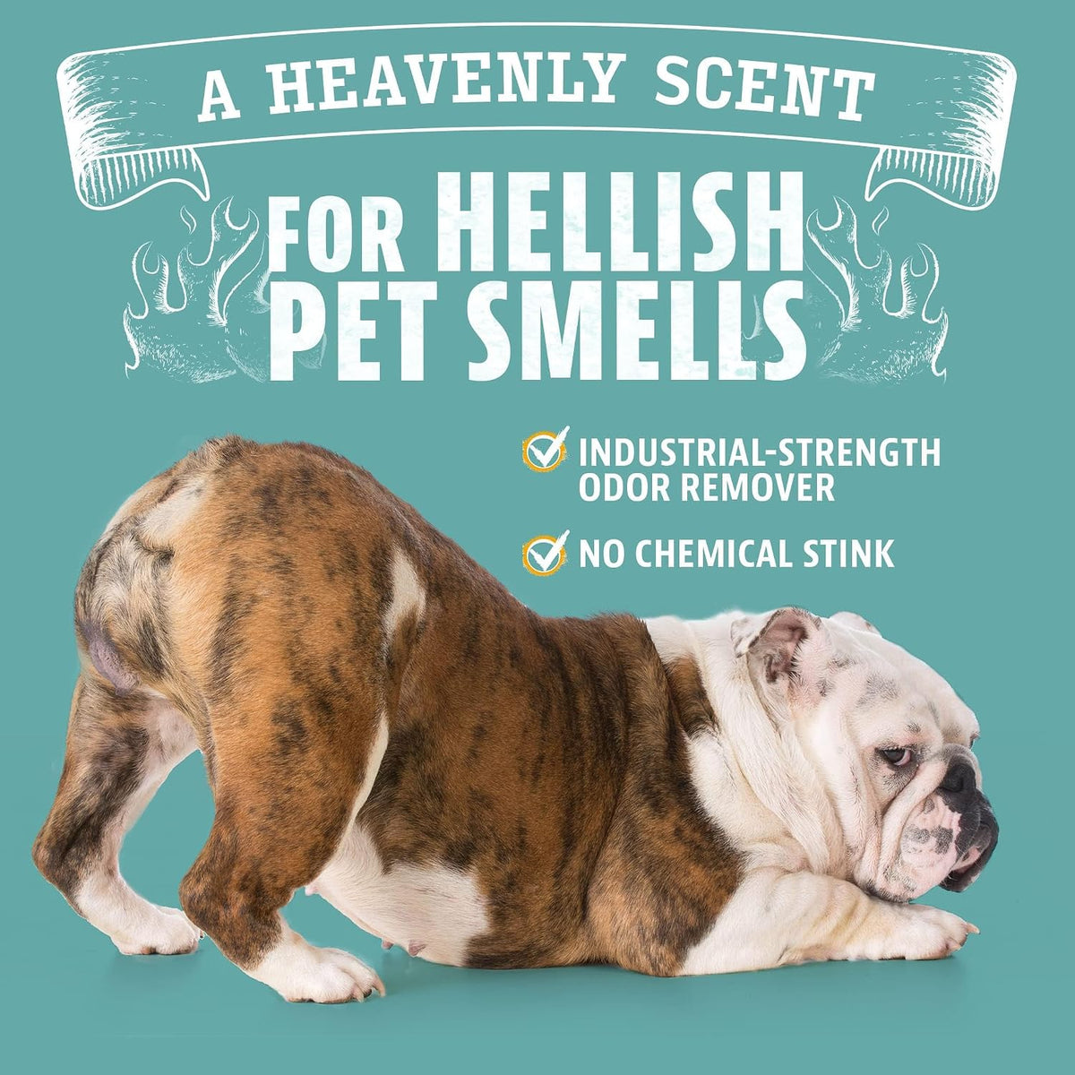 Pet Odor Eliminator 8 oz. bottle- Industrial Strength Pet Odor Remover - Makes (4) 32oz. Bottles - 1 Gallon - Neutralizes and Sanitizes Tough Pet Odors Fast